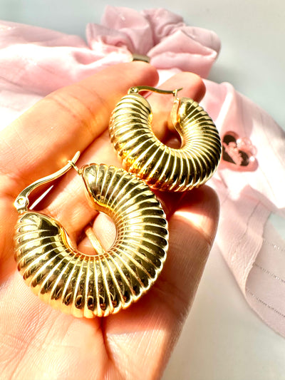 Gold Hoops Earring