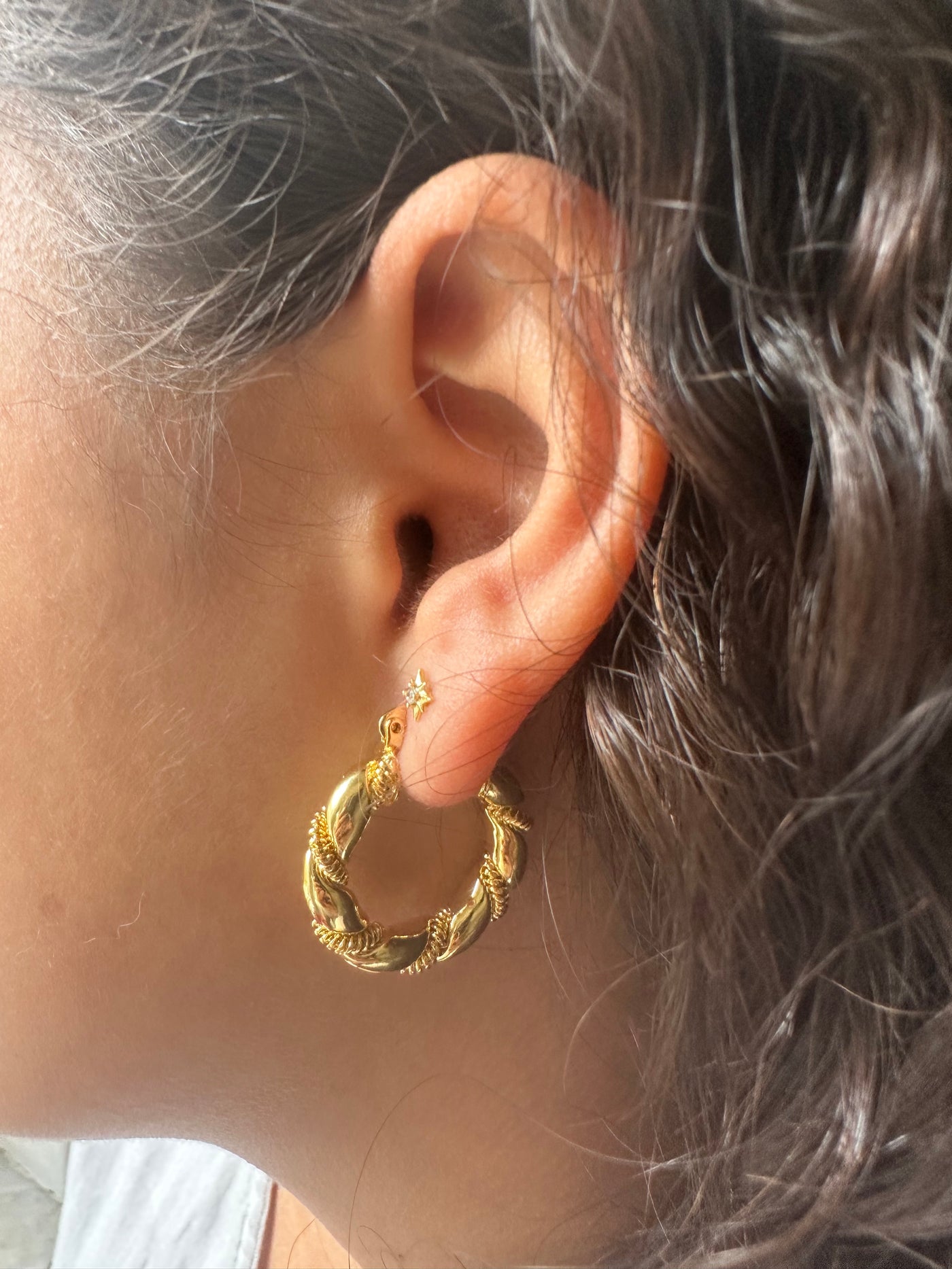 Twisted Hoops Earrings